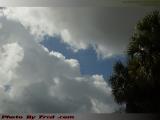 Clouds and Palms With Sunlight Highlights, Plantation