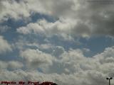 Soaring Bird Nearly Lost on the Cloudscape Background
