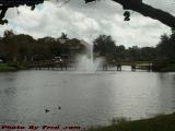 Fountain Perspective Under Partly Sunny Skies, Plantation