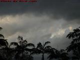 Heavy Cloudscape With Palms and Jet, Plantation, Florida