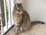 Birthday Girl, Penny on the Balcony, Plantation, Florida