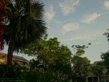 Morning Sun Perspective, St. Tropez Apartments, Plantation