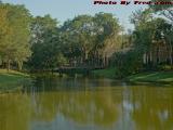 Half a Bridge, Plantation, Florida