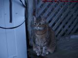 Penny Looking Like She Wants to Get Out of Wellsville