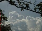 Billowing Storm Cloud Perspective, Margate, Florida