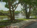 Humid, Hot and Sunny With a Threat of Afternoon Rain