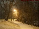 Winter Memories for the Solstice, Medford, Massachusetts