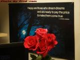 Still Life, Roses and Inspiration, Plantation, Florida