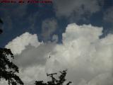 Electric Bird?  Skyscape Over Plantation, Florida