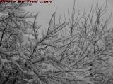 A Good Reason to Stay in Florida, New Snow, Wellsville, NY