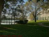 Serene Walkway Perspective, West Library, Plantation