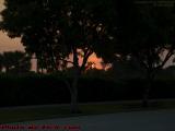 Sunset Through Palms, Plantation, Florida