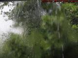 Rain Runoff Sheeting Down the Balcony Screen, Plantation