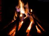 Summer Firepit Study, Wellsville, New York