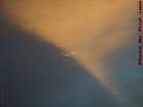 Amphibians Climbing Ashore in Sunset Sky, Sunrise, Florida