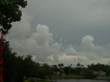 White on White Weather, Florida Style, Plantation