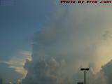 Storm Dog Sticking Its Head Out of the Front, Danvers