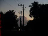 Sunset Perspective Through Silhouetted Trees, Plantation