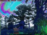 Distorted Reality, Monitor on the Fritz, Wellsville, NY
