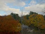 Genesee River Fishing Lodge in Foliage, Jack Bridge Road