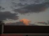 Bull Looking Over the Building, Lauderhill Sunset