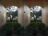 Planted Archway, St. Tropez Apartments (cross eye stereo)