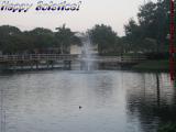 Duck and Fountain Perspective, Plantation, Happy Solstice!