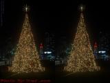 Christmas Tree, Miami Style (cross eye stereo)