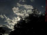 Dramatic Afternoon Sky With Bird, Coral Springs, Florida