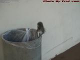 Balancing Act, Squirrel Interrupted From Scavanging