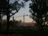 Crane Standing in Sunset Light, Plantation, Florida