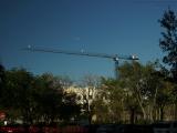 Standing Crane Under Late Afternoon Sky, Plantation