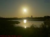 Sun and Reflections, Volunteer Park, Plantation, Florida