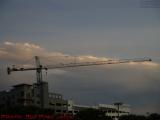 Silent Crane On Clouds Lit by Sun's Last Light, Plantation