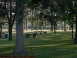 A Lawn Waiting For a Picnic, Island Park, Wellsville, NY