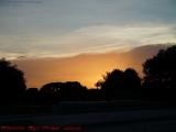 Sunset's Glow Masked by Silhouetted Trees, Plantation
