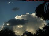 Crane Flying Through Sunset Cloudscape, Sunrise, Florida