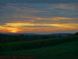 Painted Summer Sunset Over Corn Field, Friendship, NY