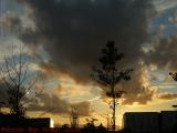 Sunset Perspective With Birds, Somerville Assembly Station