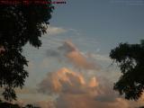 Curious Juxtaposition: What Breed is That? Sunrise Sunset