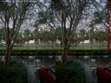 Rainy St Tropez Apts Plantation Morning (cross eye stereo)