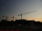 Standing Cranes on Fading Sky, Plantation, Florida