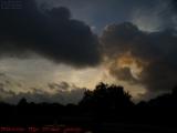 Morning Cloud Creatures Looking For the Sun, Plantation
