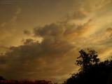 Saturated Sunrise Colors, St. Tropez Apts., Plantation