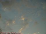 Outbound Jet Harried By Little Birds?