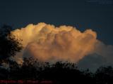 Many Faces in Clouds Lit by Setting Sun, Plantation