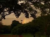 The Pot o' Gold Must Be Right Over There - Maybe the Left