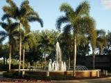 Fountain Illuminate by Late Sun, The Fountains, Plantation