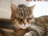 Pensive Penny on Her 