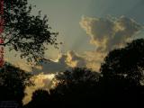 Burning Clouds and Streaming Sunbeams, Cooper City
